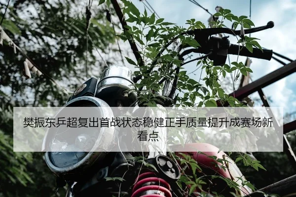 樊振东乒超复出首战状态稳健正手质量提升成赛场新看点