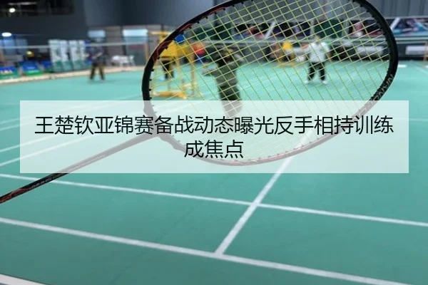 王楚钦亚锦赛备战动态曝光反手相持训练成焦点